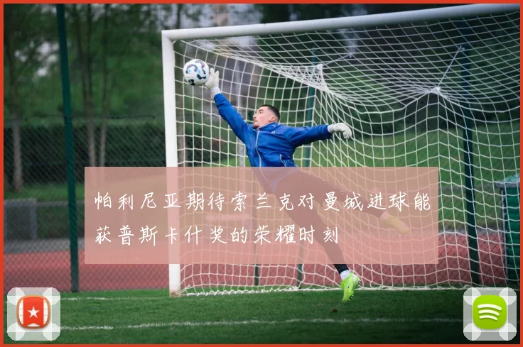 帕利尼亚期待索兰克对曼城进球能获普斯卡什奖的荣耀时刻